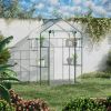 Walk-in Mini Greenhouse