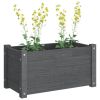 Garden Planters 2 pcs Gray 23.6"x12.2"x12.2" Solid Wood Pine