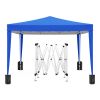 10x10 EZ Pop Up Canopy Outdoor Portable Party Folding Tent with 4 Removable Sidewalls + Carry Bag + 4pcs Weight Bag